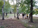 Духовницкий район присоединился к областному осеннему субботнику.
