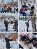 Акция "Покорми птиц зимой