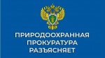 Саратовская межрайонная природоохранная прокуратура разъясняет изменения, внесенные в законодательство об отходах