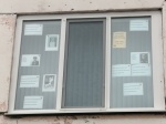 Окна Памяти «Бессмертный полк». 