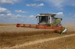 На полях района продолжается уборочная страда. 