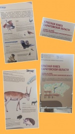 Объявление!